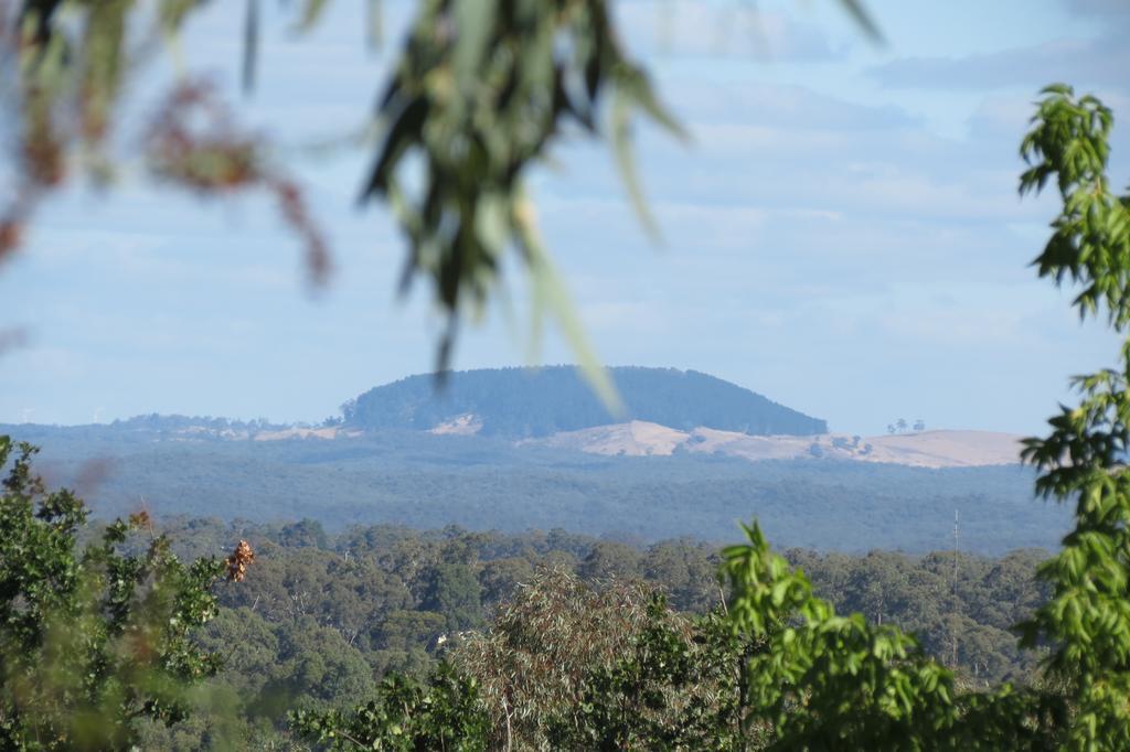 Butterworth Cottage Castlemaine Esterno foto